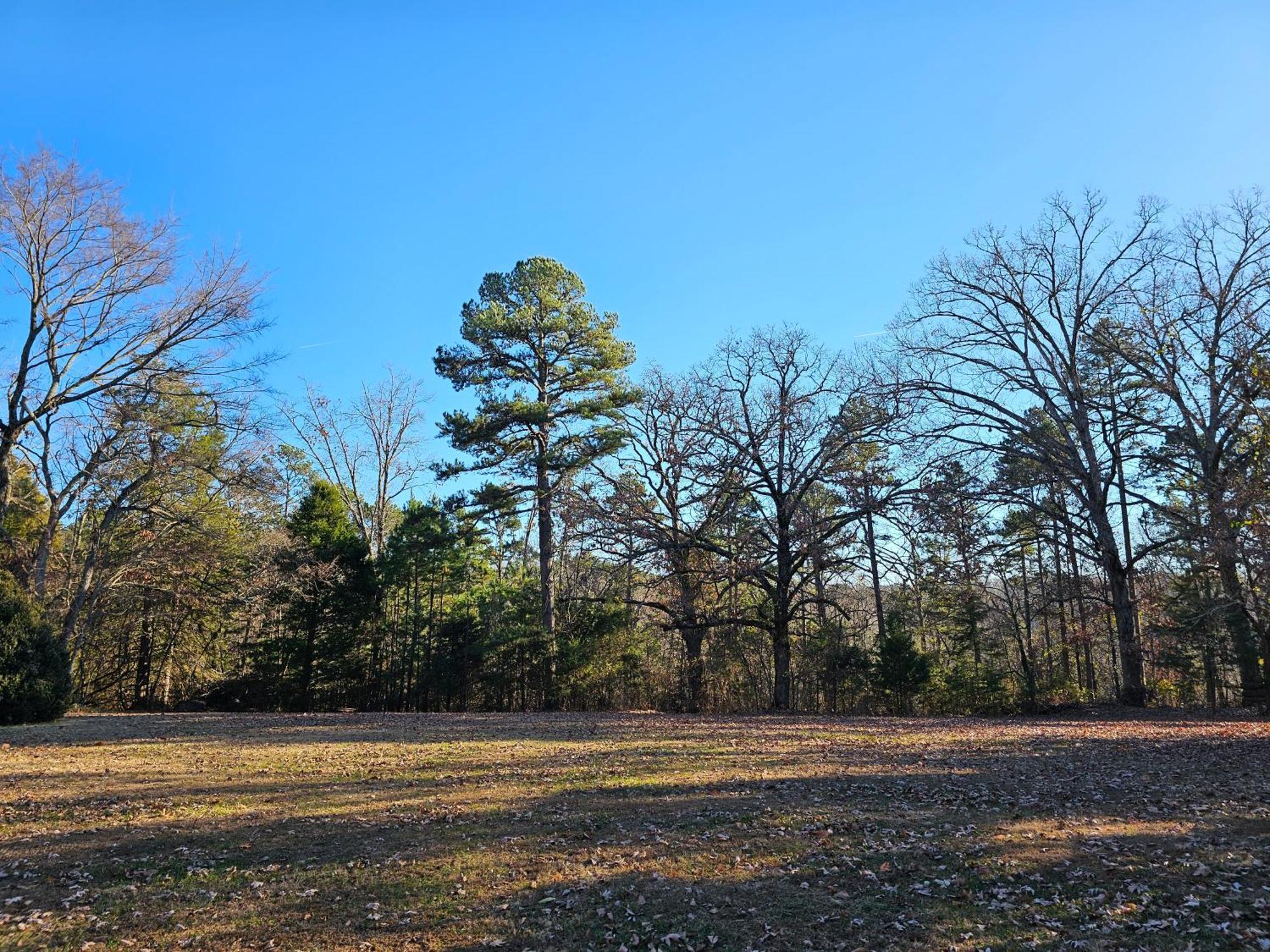5 Min To Beaver Lake-King Bed-Fire Pit-Jetted Tub #1 Eureka Springs Exterior foto